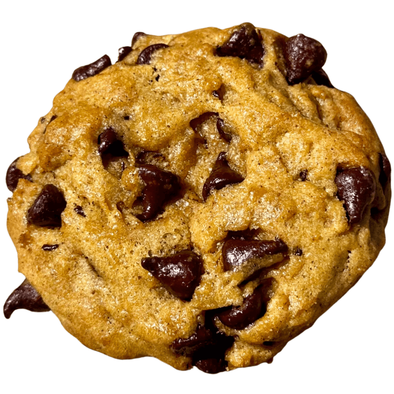 Columbus Ohio cookies, Pumpkin Chocolate Chip, Best Cookies near me, Stoner-friendly snacks, Cookie delivery in Columbus, Gourmet cookies, fresh baked snacks, FTLOD